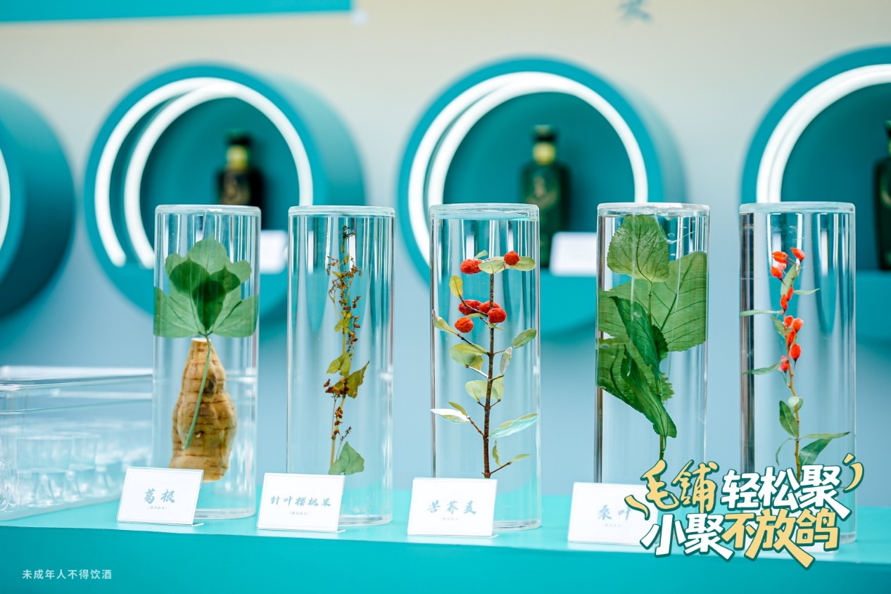图片4